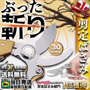 剪定ばさみ バサミ はさみ 鋏 剪定鋏 園芸 枝切り 枝切りばさみ 庭 ガーデニング