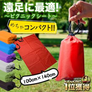 レジャーシート 子供 一人用 二人用 2人用 遠足 小さめ
