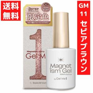 セピアブラウン マグネットジェル 秋色の買取情報