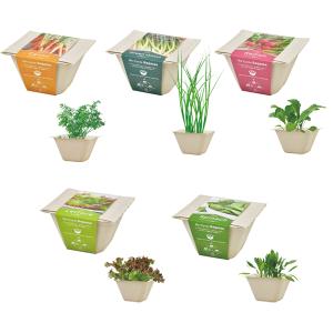 植物栽培キット　バガスグリーン　5種類から　72個セット販売　植物栽培セット　花の種　プレゼント　販促品・景品・粗品・ノベルティ｜lucky-merci