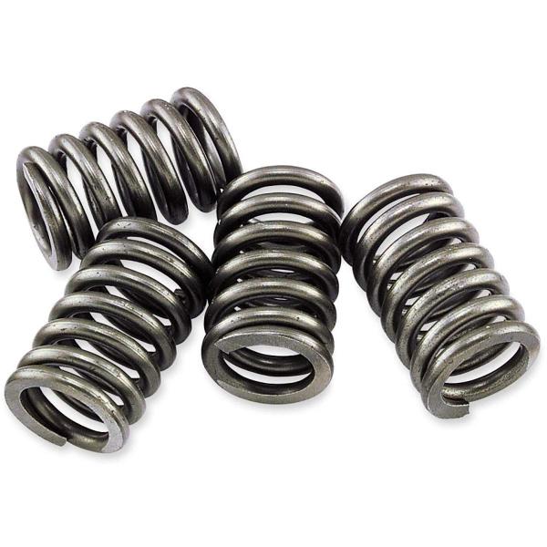 【並行輸入品】EBC Clutch Springs For 95 03 HONDA XR80