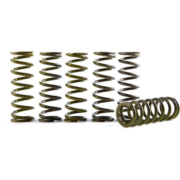 【並行輸入品】Hinson Hi Temp Clutch Spring Kit For 19 20 ...