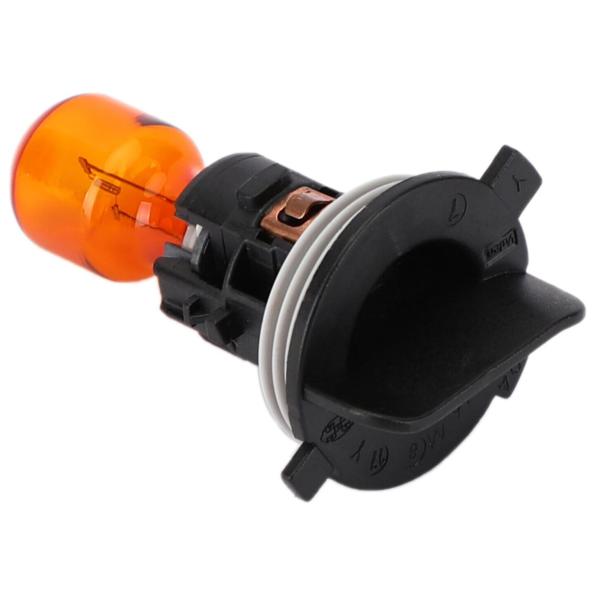 【並行輸入品】AINNUDSE with Socket PWY24W 12174NA 12V24W ...