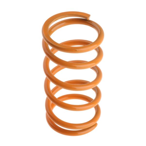 【並行輸入品】Okiyakusama Primary Drive Clutch Spring, 06...