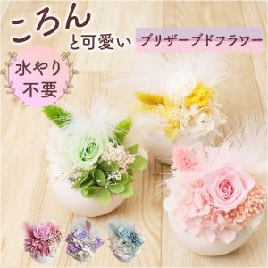 ☆ ピンク ☆ プリュム・フルール ブリザード...の詳細画像2