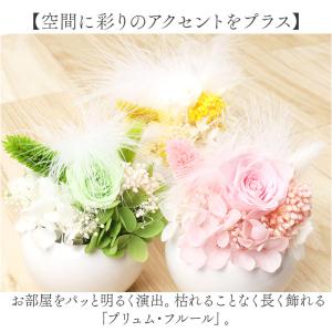 ☆ ピンク ☆ プリュム・フルール ブリザード...の詳細画像3
