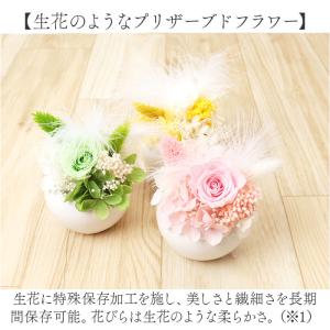 ☆ ピンク ☆ プリュム・フルール ブリザード...の詳細画像4