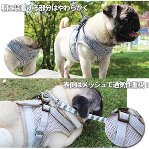 ☆ ブルー ☆ Mサイズ ハーネス 小型犬 中...の詳細画像5