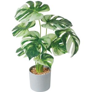☆ モンステラ ☆ セメントポット 観葉植物 フェイク 大型 フェイクグリーン アーティフィシャルグリーン インテリアグリーン 人工観葉植物