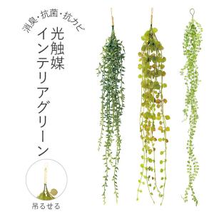 ☆ 164203.ビーンバイン 光触媒 フェイ...の詳細画像2