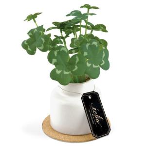 ☆ Clover フェイクグリーン ミニ 通販 観葉植物 フェイク