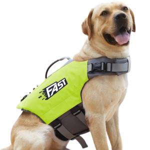 ☆ グリーン ☆ Lサイズ ☆ 犬用ライフジャケ...の商品画像