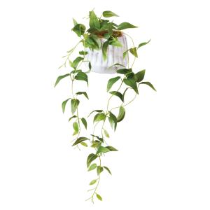 ☆ クレマチス ☆ 光触媒 ナビール ポットS 光触媒 フェイクグリーン 人工観葉植物 イミテーショングリーン インテリアグリーン 消臭 抗菌