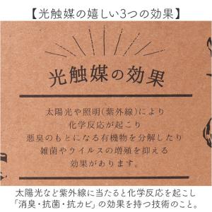 ☆ クレマチス ☆ 光触媒 ナビール ポットS...の詳細画像5