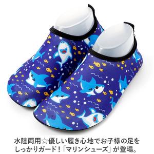 ☆ E23タイプ ☆ 34-35(20-21c...の詳細画像3