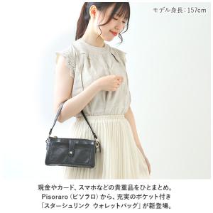 ☆ 93.SILVER ☆ Pisoraro ...の詳細画像3