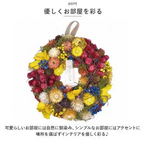 ☆ 315M.緑のリース ☆ ナチュラル リー...の詳細画像4