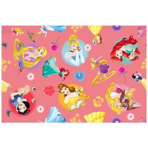 ディズニーリゾート限定 トイ・ストーリー レジャーシート ケース付き