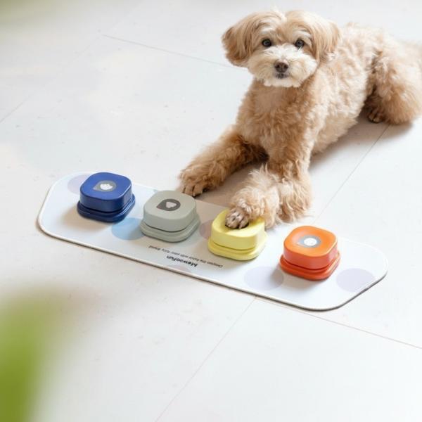 ☆ カラフル ☆ 会話ボタン 犬 知育玩具 会話ボタン 犬 録音ボタン おしゃべりボタン ペット 知...