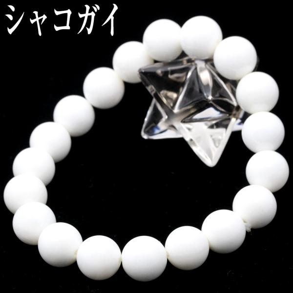シャコガイ シャコ貝 ブレスレット 10mm パワーストーン 天然石 アクセサリー