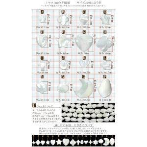 1粒売り 天然石 選べる16種類 ホワイトマザ...の詳細画像4