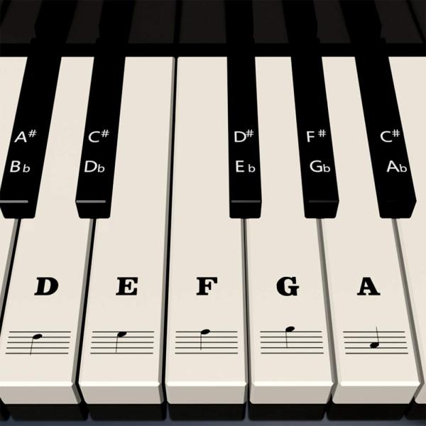 Piano Stickers for Keys   White &amp; Black Piano Keyb...