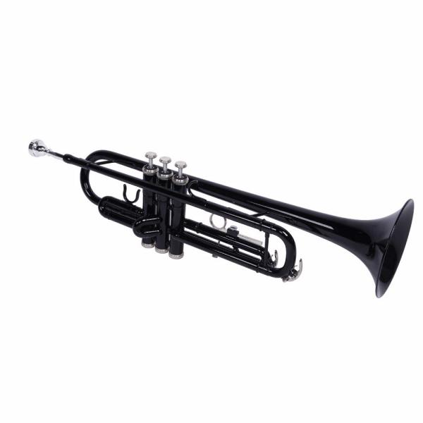 Lykos Beginner Trumpet Bb B Flat Brass Gold with G...