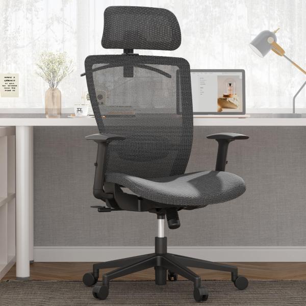 FLEXISPOT メッシュ エルゴノミックチェア ホーム オフィス デスクチェア 快適な椅子 大き...