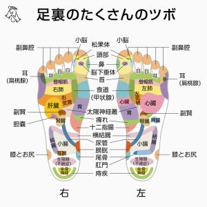 足つぼマット 足ツボマット 指圧ボード 指圧マ...の詳細画像4