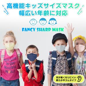 マスク 不織布 立体 20枚 不織布マスク 立...の詳細画像1