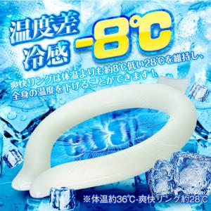ネッククーラー クールリング 最強 首掛け 冷...の詳細画像4