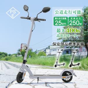 電動キックボード 公道 仕様 走行可 免許 保安部品標準装備