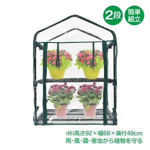 ビニール温室 2段 ビニールハウス ガーデンハウス 植物 ベランダ 小型 DIY 観葉植物 ガーデン フラワー ラック 家庭菜園 花 多肉植物 サボテン 家庭用 sg099｜lucky9