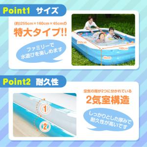 プール 子供 家庭用 ビニールプール 255c...の詳細画像3