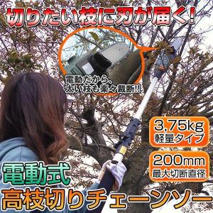 高枝切り電動チェーンソー 高枝切りチェーンソー チェーンソー 高枝切り 電動 高枝切りバサミ 枝切ばさみ 230-290cm ###高枝ET1208-01###