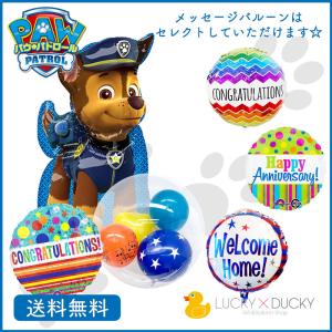 送料無料 パウ・パトロール いっしょにおやすみ！ おしゃべりスカイ