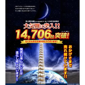 高品質低価格 二段ベッド 2段ベッド 大人用 ...の詳細画像2