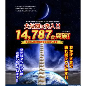 高品質低価格 二段ベッド 2段ベッド 大人用 ...の詳細画像2