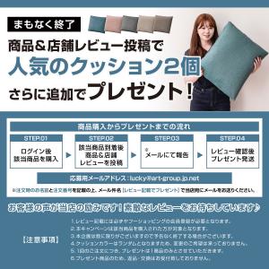 最安値に挑戦! ソファ ソファベッド ソファー...の詳細画像2
