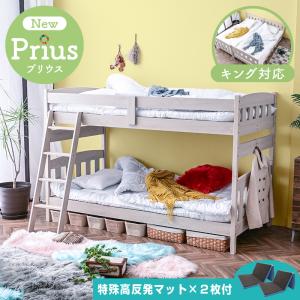 フランスベッド（FRANCEBED） ベッド リバートCシリーズ LG タイプ
