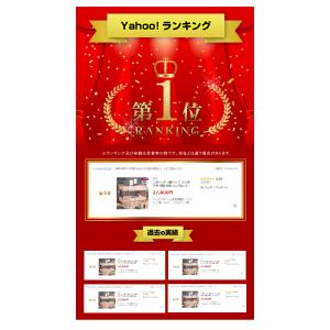 大好評 100台限定プライス 続行 二段ベッド...の詳細画像2