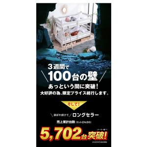 大好評 100台限定プライス 残りわずか 二段...の詳細画像1