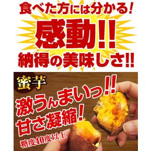 さつまいも 安納芋 蜜芋 3kg 冬 あんのう...の詳細画像1
