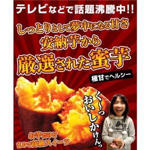 さつまいも 安納芋 蜜芋 3kg 冬 あんのう...の詳細画像2