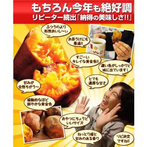 さつまいも 安納芋 蜜芋 3kg 冬 あんのう...の詳細画像3