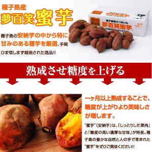 さつまいも 安納芋 蜜芋 3kg 冬 あんのう...の詳細画像5
