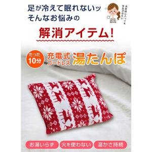 電気あんか 電気湯たんぽ 充電式 湯たんぽ コ...の詳細画像1