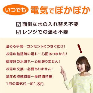 電気あんか 電気湯たんぽ 充電式 湯たんぽ コ...の詳細画像2