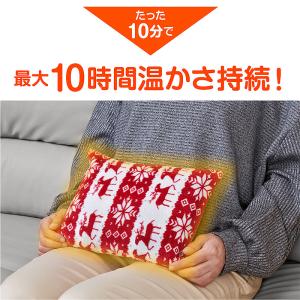 電気あんか 電気湯たんぽ 充電式 湯たんぽ コ...の詳細画像3
