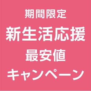 ベッド ベッドフレーム シングルベッド 天然木...の詳細画像4